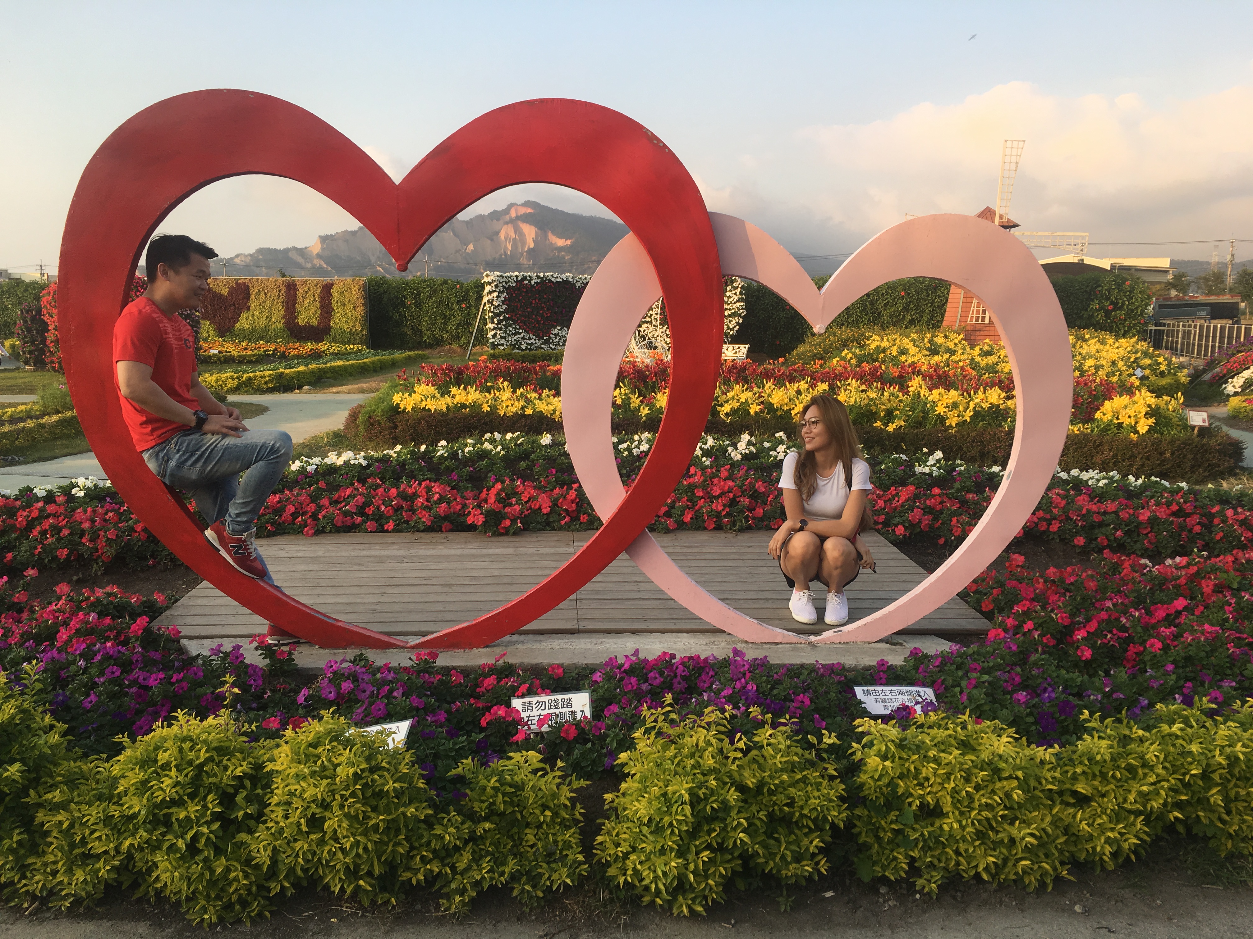 旅客出遊照｜台中新社花海