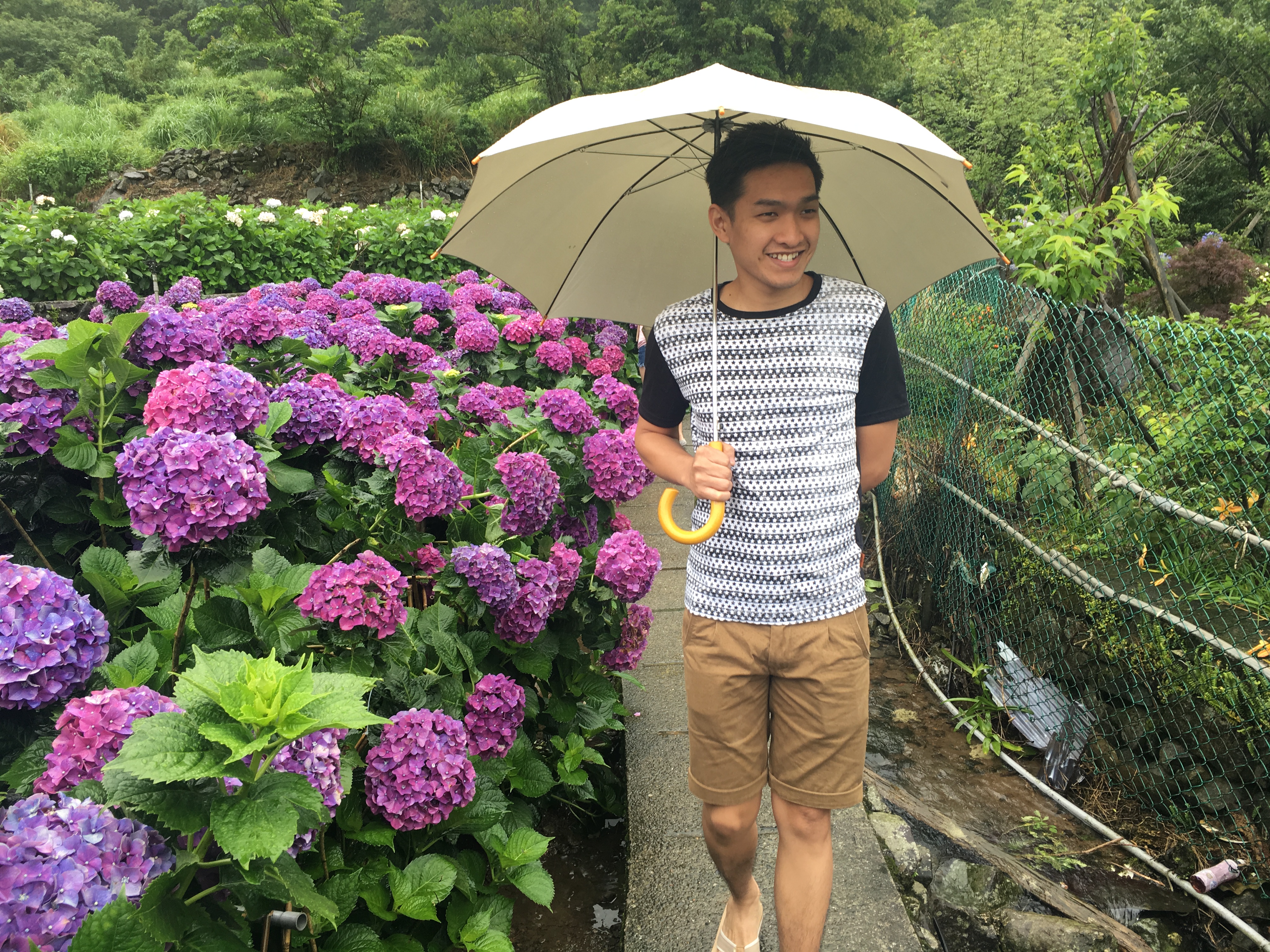 旅客出遊照｜陽明山國家公園